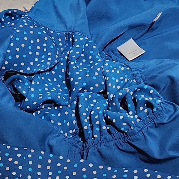 New York & Company Eva Mendes  Green White, and Tan Sheer Polkadot Blouse - Picture 10 of 15